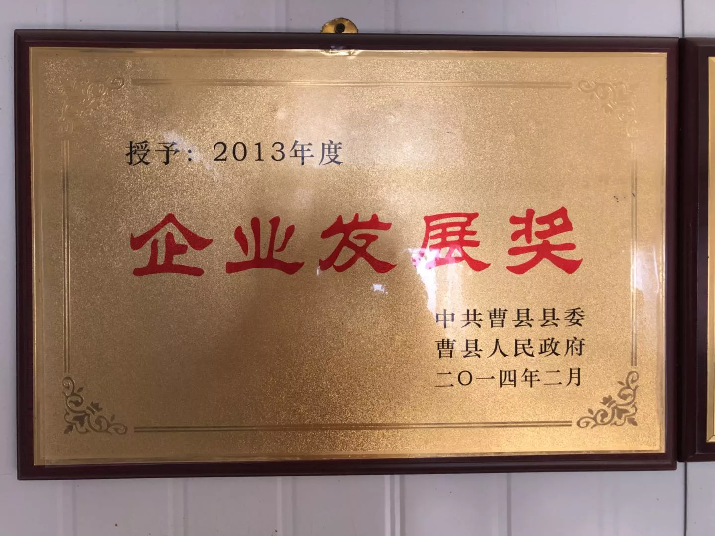 企业发展奖